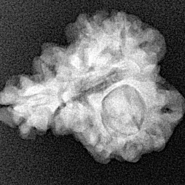 Sawar/Ganesh (2+1) 21mm 3.28gm - Xray