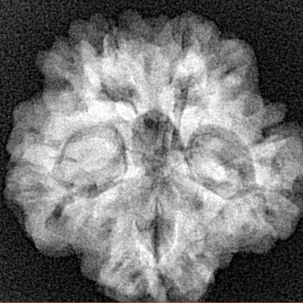 1MK(Underdeveloped) 22.3mm 3.89gm - Xray