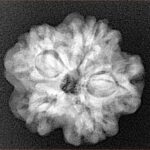 1MK(Underdeveloped) 23mm 3.85gm - Xray