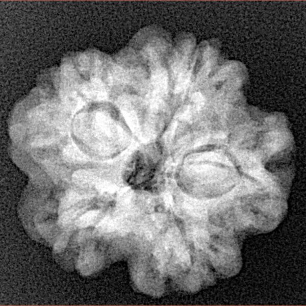 1MK(Underdeveloped) 23mm 3.85gm - Xray