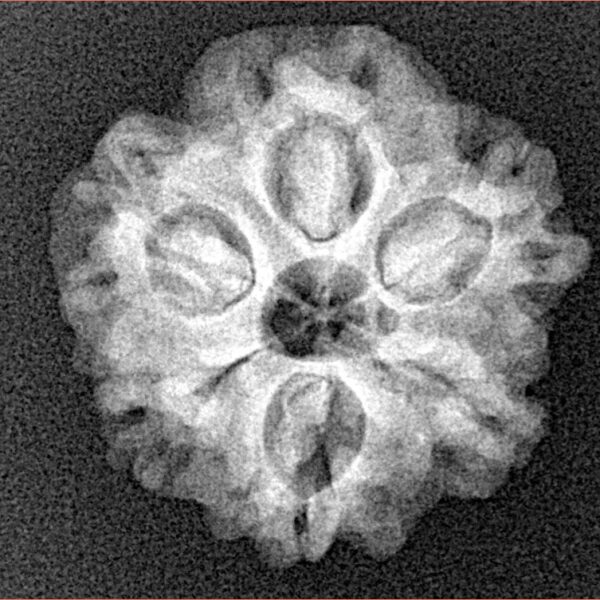 1MK(Underdeveloped) 21.5mm 3.23gm - Xray