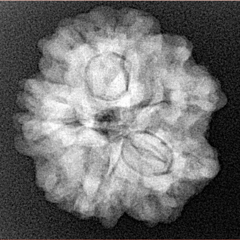 1MK(Underdeveloped) 23.3mm 4.3gm - Xray