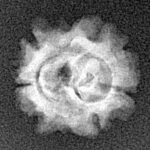 2 Mukhi Rudraksha 16.7mm 1.19gm - Xray