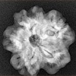 1MK(Underdeveloped) 23.2mm 4.18gm - Xray