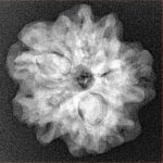 1MK(Underdeveloped) 23.7mm 3.9gm - Xray