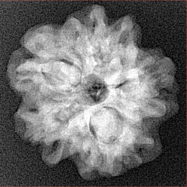 1MK(Underdeveloped) 23.7mm 3.9gm - Xray