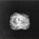 2 Mukhi Rudraksha 20.5mm 1.38gm - Xray