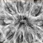 10 Mukhi Ganesh 38.2mm 10.99gm - Xray