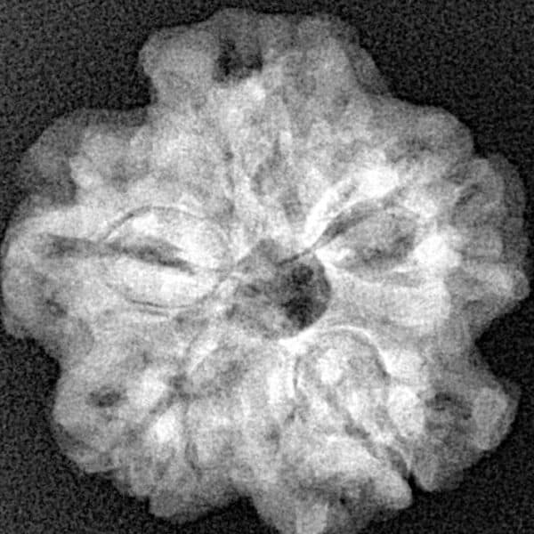 1MK(Underdeveloped) 23.3mm 4gm - Xray