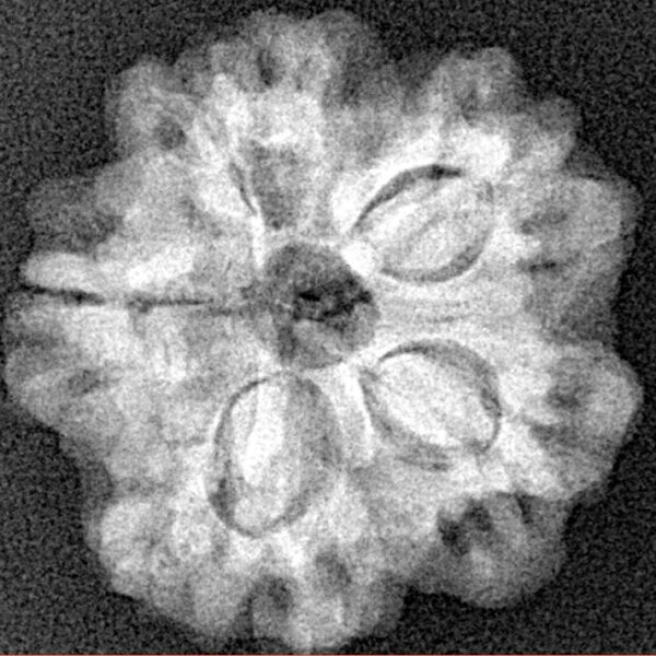 1MK(Underdeveloped) 23mm 4.06gm - Xray