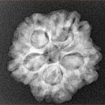 1MK(Underdeveloped) 22mm 3.94gm - Xray