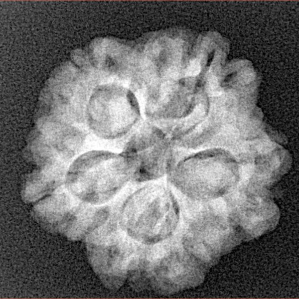 1MK(Underdeveloped) 22mm 3.94gm - Xray