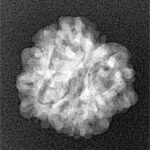 1MK(Underdeveloped) 18.5mm 2gm - Xray