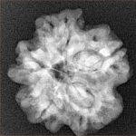 1MK(Underdeveloped) 22.4mm 3.78gm - Xray