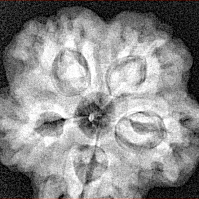 1MK(Underdeveloped) 22.8mm 4.4gm - Xray