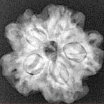 1MK(Underdeveloped) 23mm 4gm - Xray