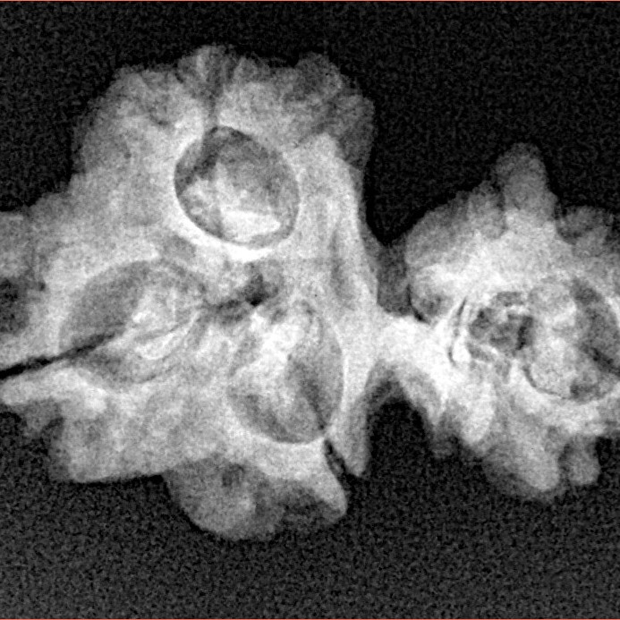 Sawar/Ganesh (3+1) 25.8mm 2.8gm - Xray