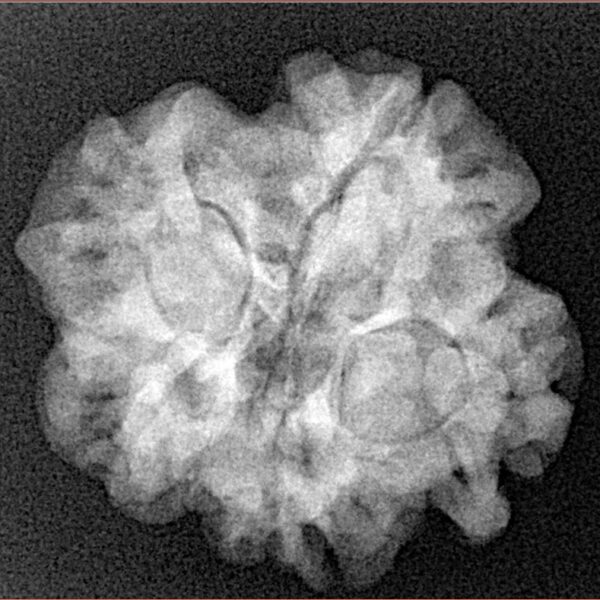 1MK(Underdeveloped) 24.3mm 4.36gm - Xray