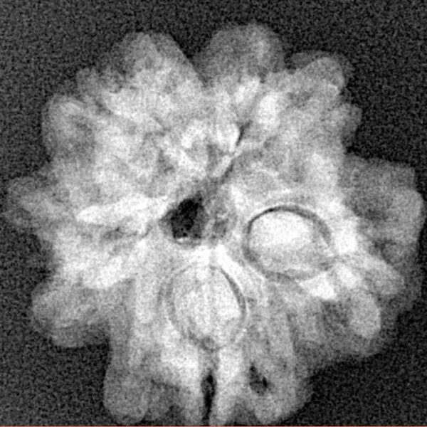 1MK(Underdeveloped) 22.4mm 3.7gm - Xray