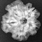 1MK(Underdeveloped) 22mm 3.75gm - Xray