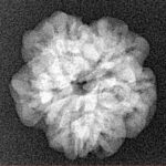 1MK(Underdeveloped) 19.3mm 2.47gm - Xray