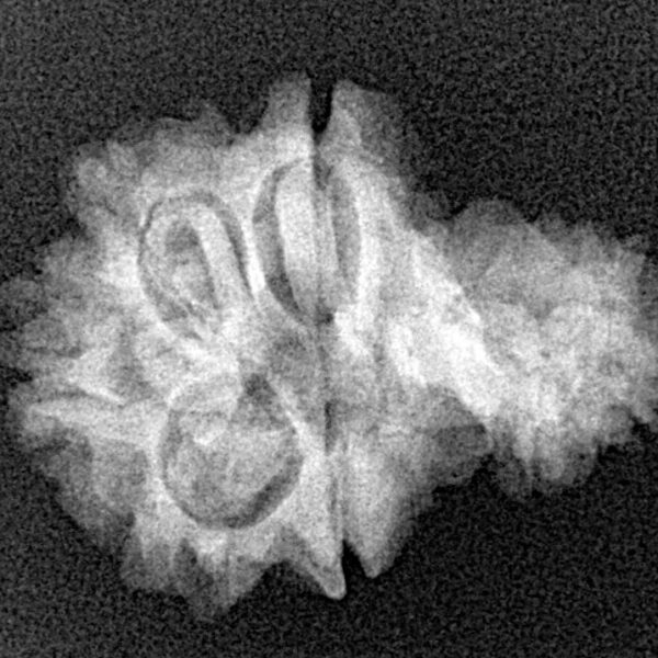 Sawar/Ganesh (5+1) 23.9mm 3gm - Xray