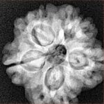 1MK(Underdeveloped) 22.6mm 3.78gm - Xray