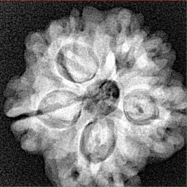 1MK(Underdeveloped) 22.6mm 3.78gm - Xray