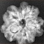 1MK(Underdeveloped) 22.3mm 3.89gm - Origin: Nepal - Xray