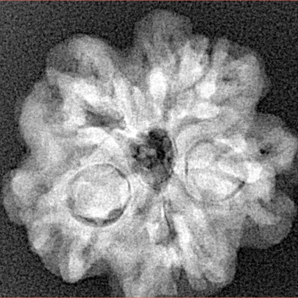 1MK(Underdeveloped) 22.3mm 3.89gm - Origin: Nepal - Xray