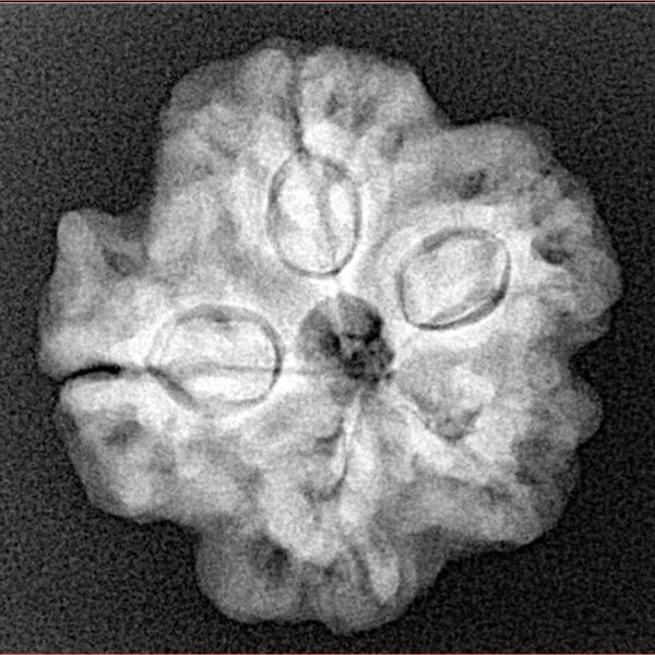 1MK(Underdeveloped) 23mm 4.15gm - Xray