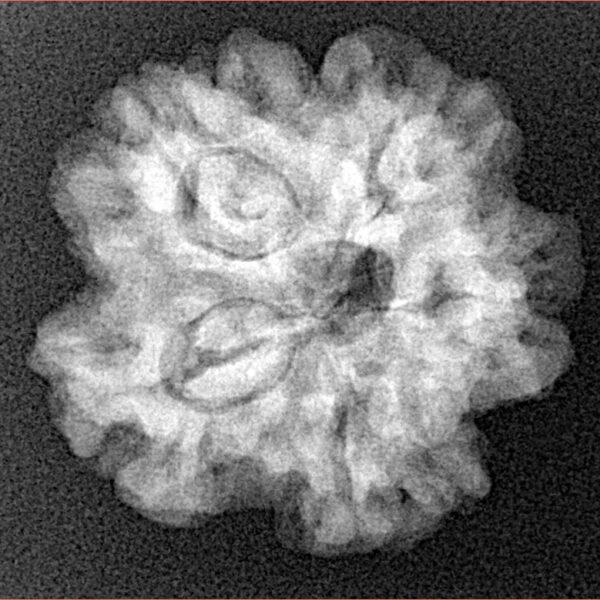 1MK(Underdeveloped) 23.1mm 4.17gm - Xray