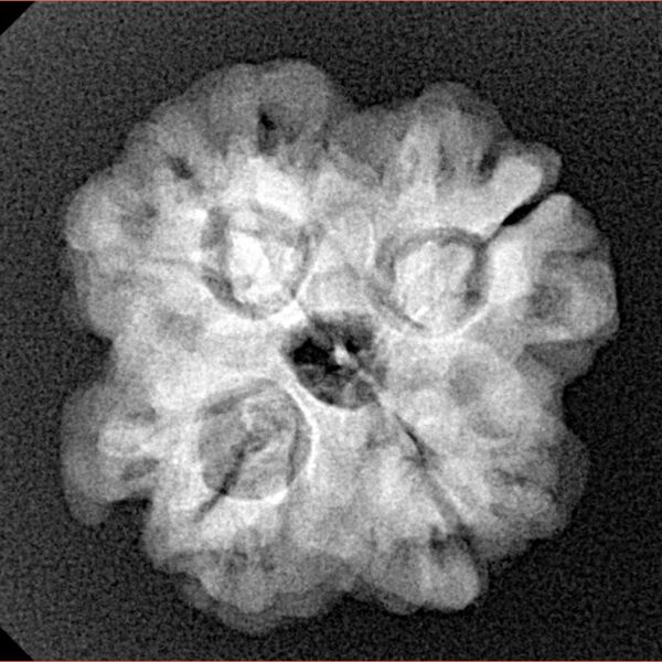 1MK(Underdeveloped) 22.5mm 3.85gm - Xray