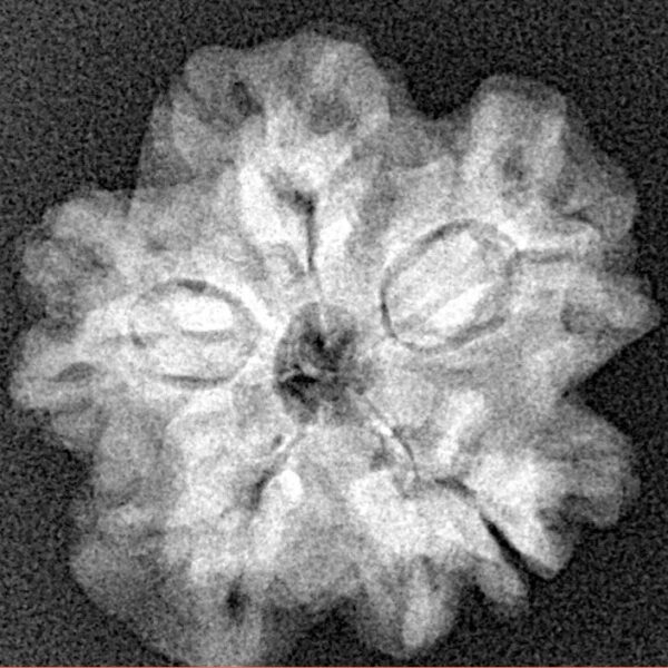 1MK(Underdeveloped) 22.3mm 3.66gm - Xray