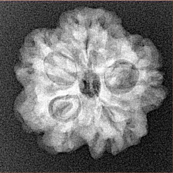 1MK(Underdeveloped) 22mm 3.45gm - Xray