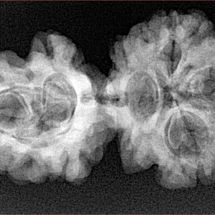 Sawar/Ganesh (3+1) 34mm 5.09gm - Xray