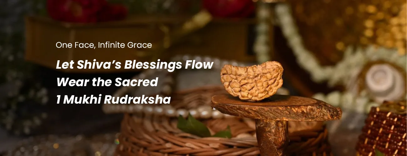 New Image Edit for Sliders-1 Images