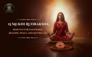 15 Mukhi Rudraksha Benefits for Emotional Healing, Peace, and Letting Go