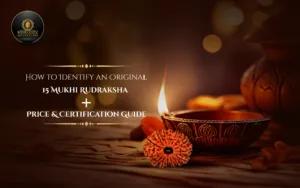 How to Identify an Original 15 Mukhi Rudraksha + Price & Certification Guide