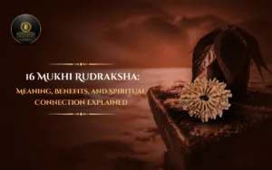 16 Mukhi Rudraksha: Meaning, Benefits, and Spiritual Connection Explained