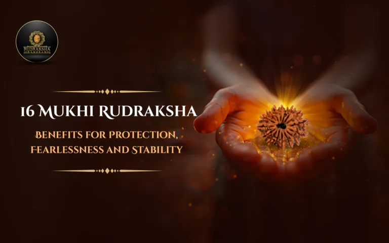 16 Mukhi Rudraksha Benefits for Protection, Fearlessness, and Stability