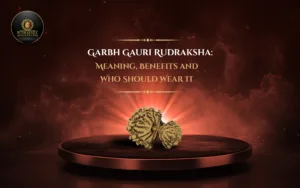 Garbh Gauri Rudraksha: Meaning, Benefits and Who Should Wear It