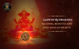 Ganesh Rudraksha: Meaning, Benefits and Who Should Wear It