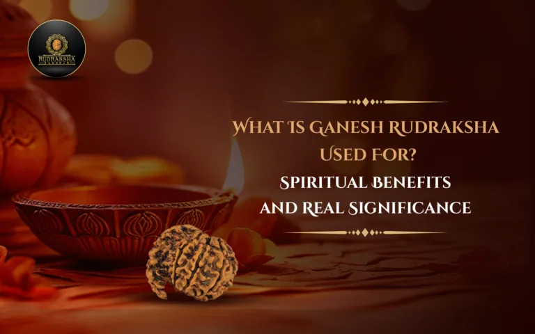 What Is Ganesh Rudraksha Used For? Spiritual Benefits and Real Significance