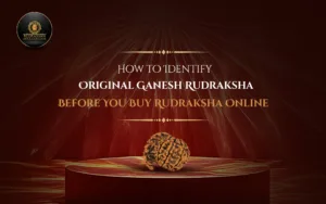 How to Identify Original Ganesh Rudraksha Before You Buy Rudraksha Online