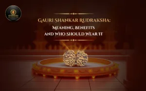 Gauri Shankar Rudraksha: Meaning, Benefits and Who Should Wear It