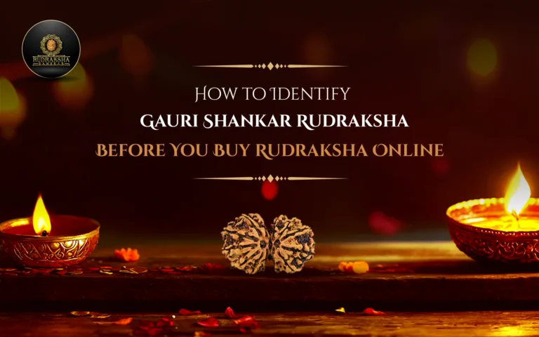 How to Identify Original Gauri Shankar Rudraksha Before You Buy Rudraksha Online 