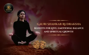 Gauri Shankar Rudraksha Benefits for Love, Emotional Balance and Spiritual Growth