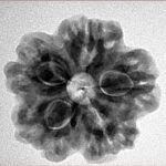 1MK(Underdeveloped) 23.9mm 4.59gm - Inverse xray