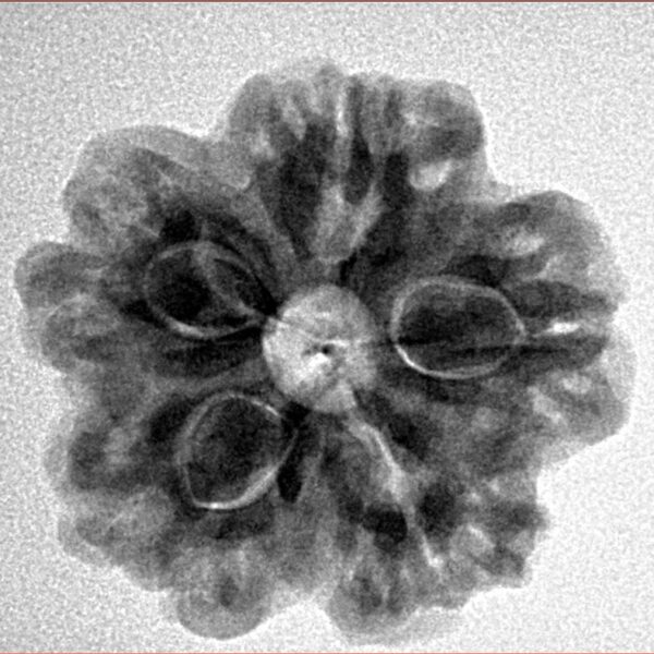 1MK(Underdeveloped) 23.9mm 4.59gm - Inverse xray